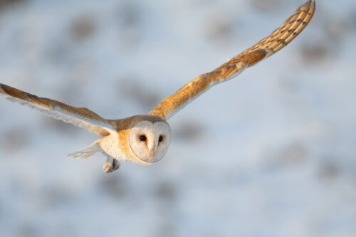 SH DSC7761 LR s RGB 3