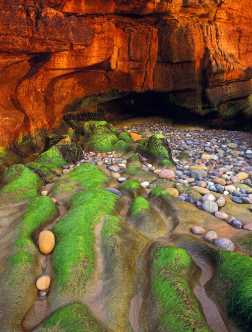 Cove Bay Ovens 2 IDC