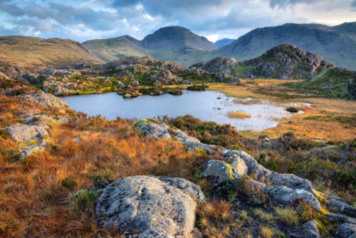 RB Inominate Tarn Haystacks Lake District